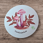 Posavasos de Madera Hongos de Chile  2