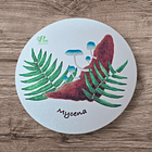 Posavasos de Madera Hongos de Chile  3