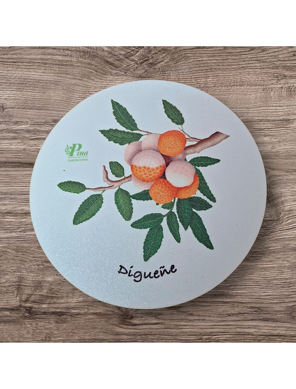 Posavasos de Madera Hongos de Chile  4