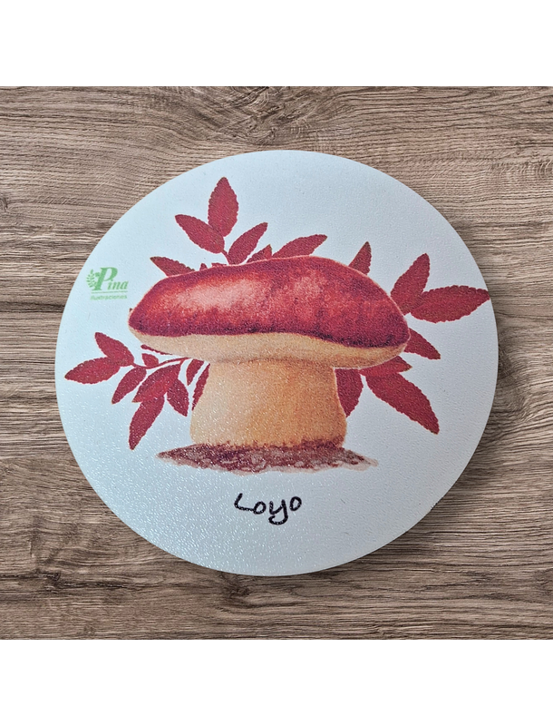 Posavasos de Madera Hongos de Chile  5