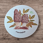 Posavasos de Madera Hongos de Chile  7