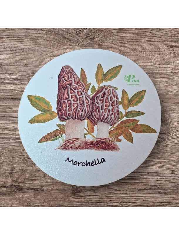 Posavasos de Madera Hongos de Chile  7