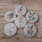 Posavasos de Madera Flora Chilena  1