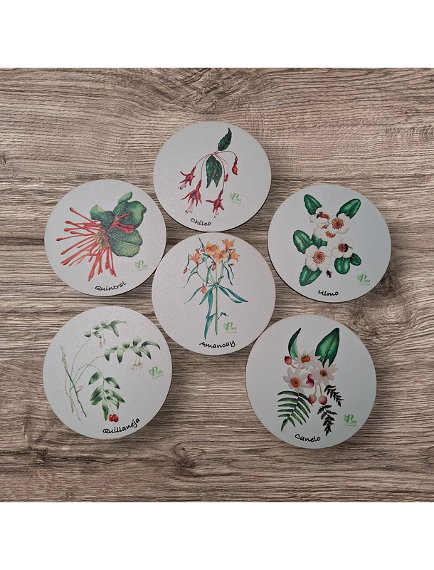 Posavasos de Madera Flora Chilena  1