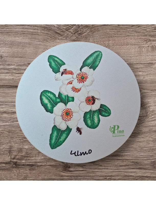 Posavasos de Madera Flora Chilena  2