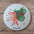 Posavasos de Madera Flora Chilena  3