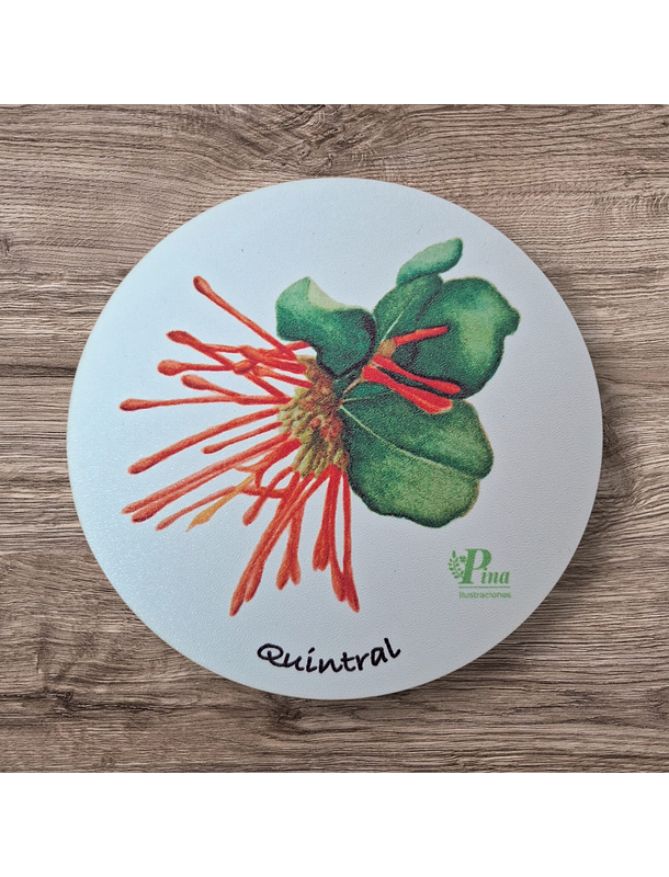 Posavasos de Madera Flora Chilena  3