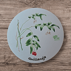 Posavasos de Madera Flora Chilena  4