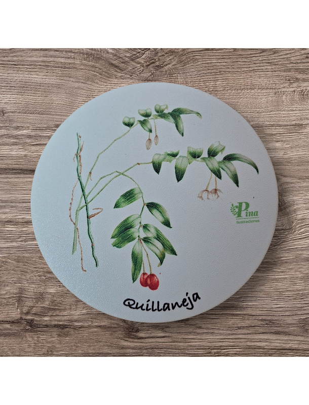 Posavasos de Madera Flora Chilena  4