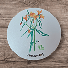 Posavasos de Madera Flora Chilena  6