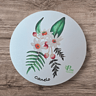 Posavasos de Madera Flora Chilena  7