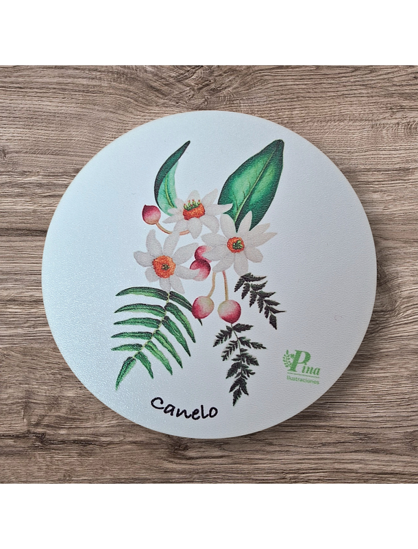 Posavasos de Madera Flora Chilena  7