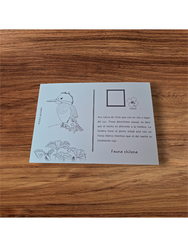 Postal Martín pescador  3