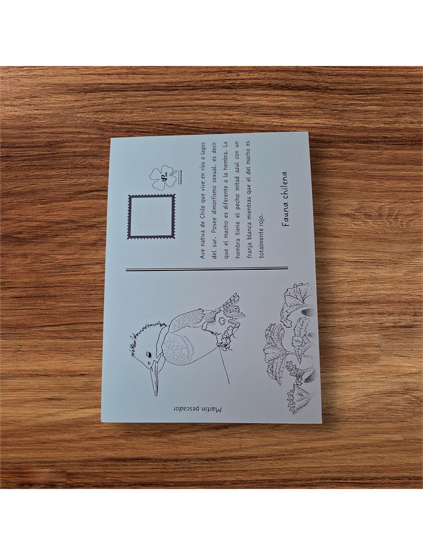 Postal Martín pescador  2