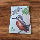 Postal Martín pescador  1