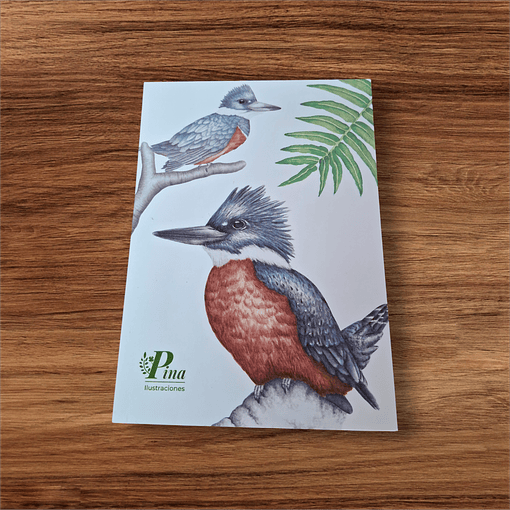 Postal Martín pescador 