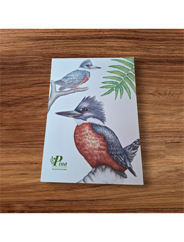 Postal Martín pescador  1