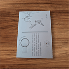 Postal Picaflor Chico  2