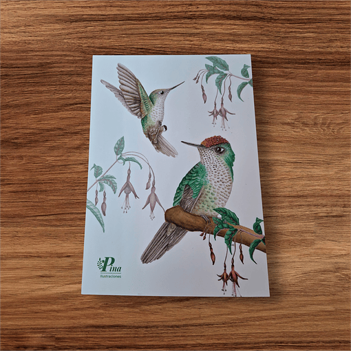 Postal Picaflor Chico 