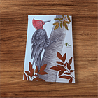 Postal Carpintero  1