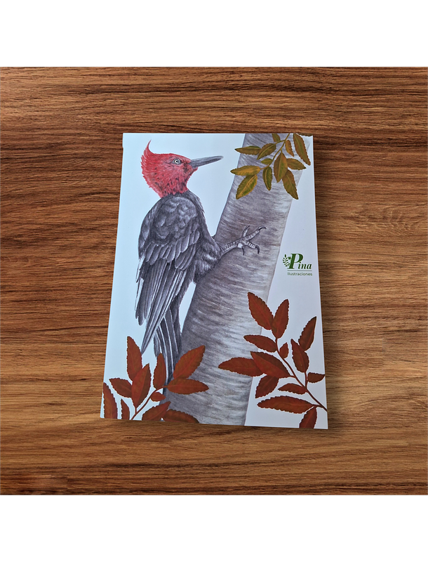 Postal Carpintero  1