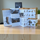 Guia de campo Cuevas del Milodón -Megamamiferos, fauna y humanos 2