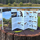 Guia de campo Cuevas del Milodón -Megamamiferos, fauna y humanos 1