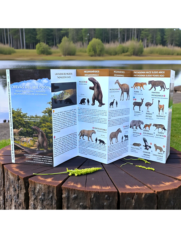 Guia de campo Cuevas del Milodón -Megamamiferos, fauna y humanos 1