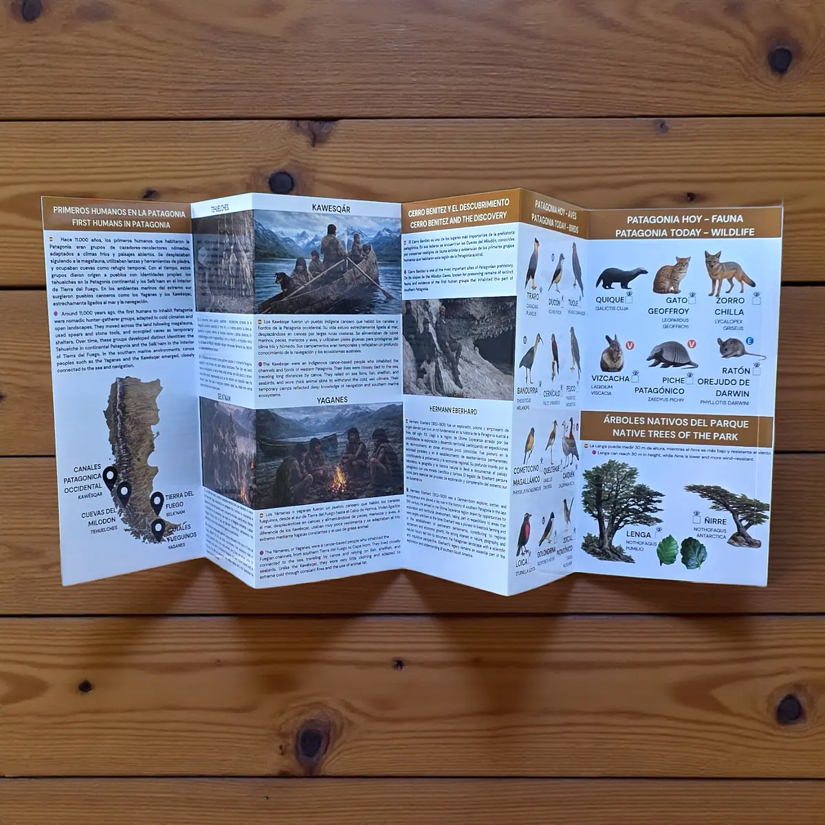 Guia de campo Cuevas del Milodón -Megamamiferos, fauna y hum