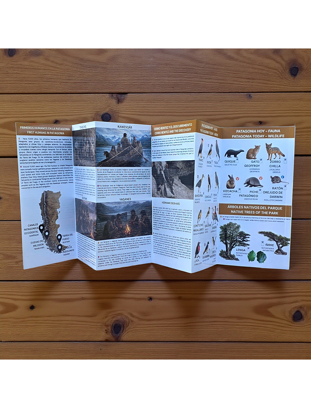 Guia de campo Cuevas del Milodón -Megamamiferos, fauna y humanos 4