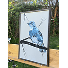 Cuadro Rama 3 Diuca acrílico a mano 40x60 3