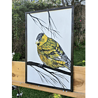 Cuadro Rama 4 jilguero Acrilíco a Mano 40x60 3