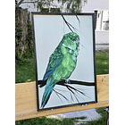 Cuadro Rama 4 Piriquito cordillerano acrílico a mano 40x60 2