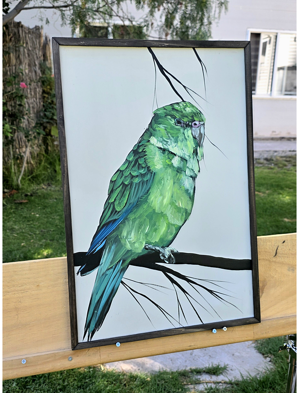 Cuadro Rama 4 Piriquito cordillerano acrílico a mano 40x60 2