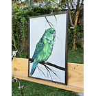 Cuadro Rama 4 Piriquito cordillerano acrílico a mano 40x60 3