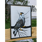 Cuadro Rama 2 Carancho acrílico a mano 40x60 2