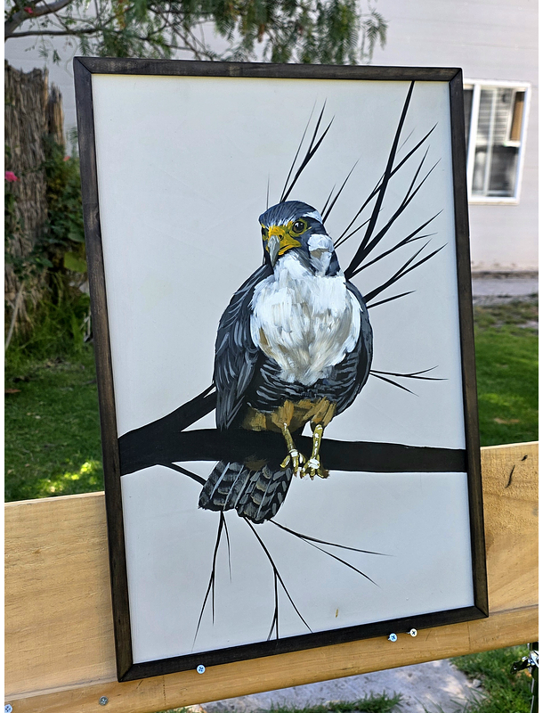 Cuadro Rama 3 Halcón Peregrino acrílico a mano 40x60 3