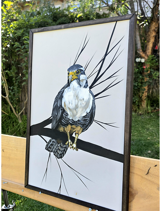Cuadro Rama 3 Halcón Peregrino acrílico a mano 40x60 2