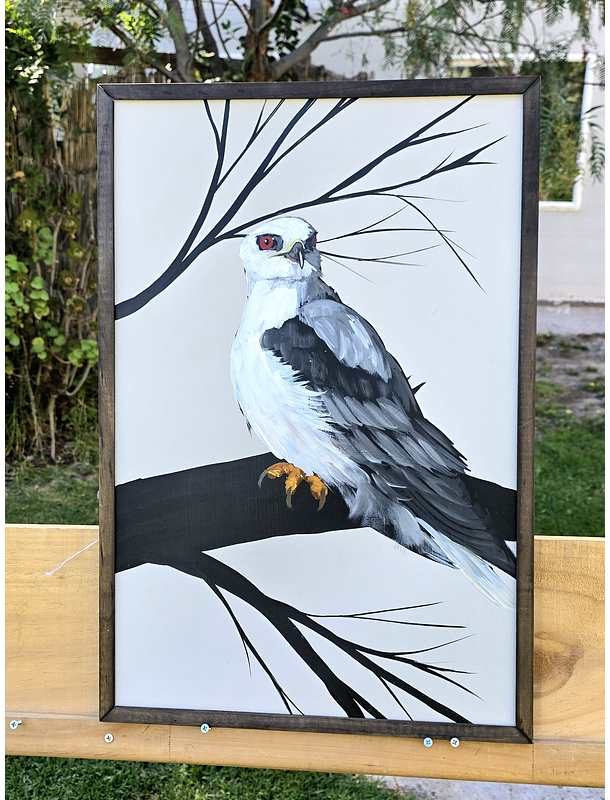 Cuadro Rama 1 Halcón Bailarin acrílico a mano 40x60 1