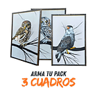 PACKS 3 CUADROS TELA ACRILICO A MANO 1