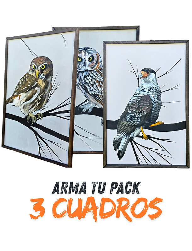 PACKS 3 CUADROS TELA ACRILICO A MANO 1