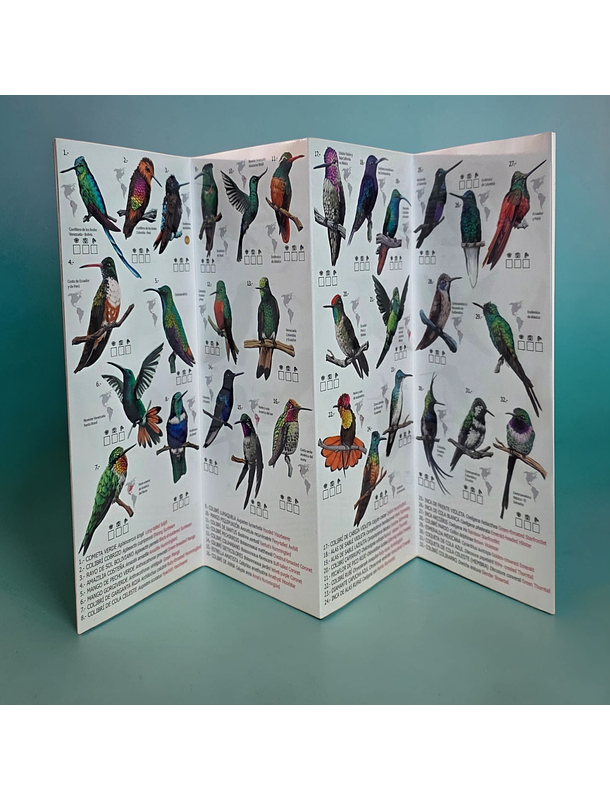 Guía 100 Picaflores más hermosos del mundo 2