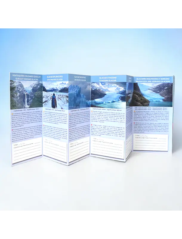 Guía de campo Glaciares de la Patagonia 2