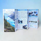 Guía de campo Glaciares de la Patagonia 1