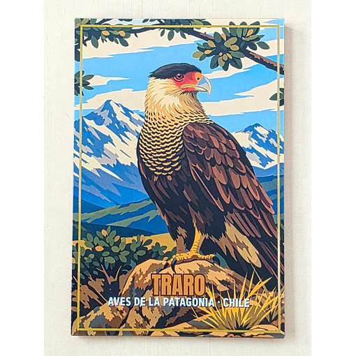 Postal con Lacado Traro - Aves de la Patagonia