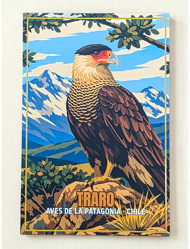 Postal con Lacado Traro - Aves de la Patagonia