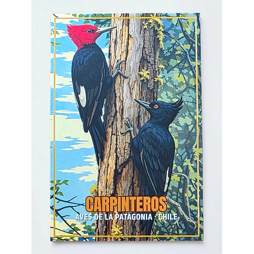 Postal con Lacado Carpinteros - Aves de la Patagonia