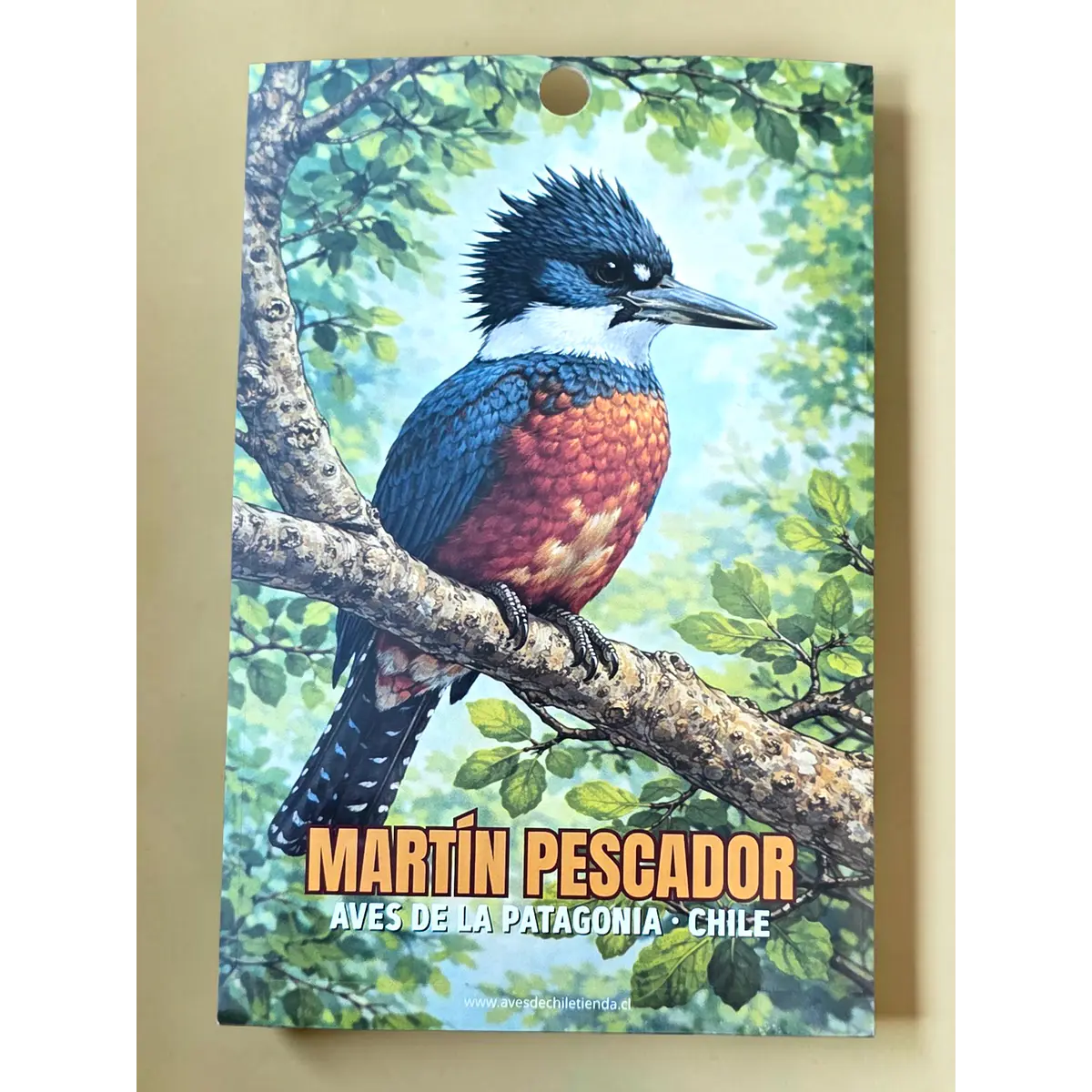 Sticker Martín Pescador