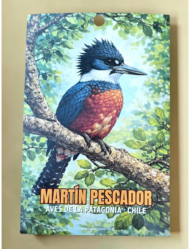 Sticker Martín Pescador