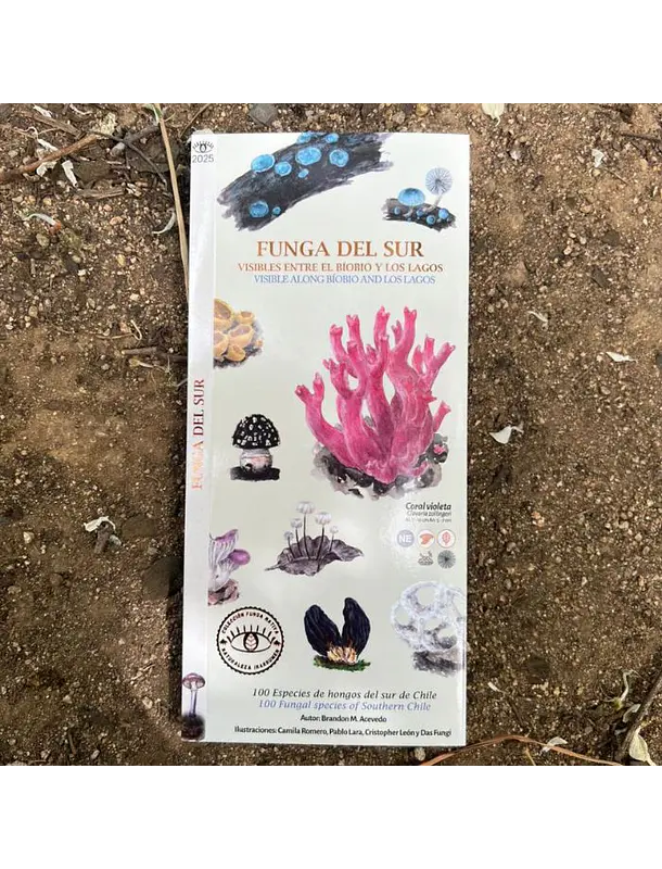 Guía de Bolsillo Funga del Sur - Hongos Zona Sur Chile 1